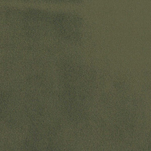 PARIS FOREST GREEN (velvet) 